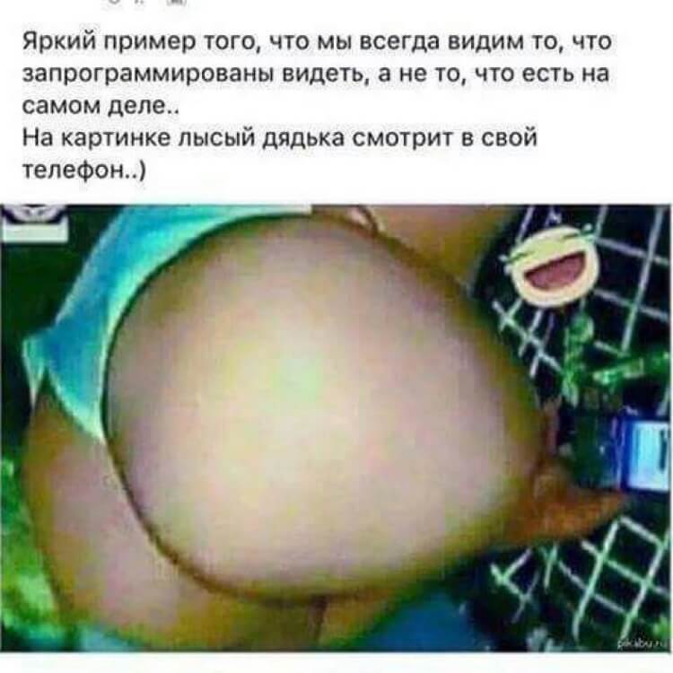 Самые cмешные фотографии, которые 100% поднимут Вам настроение 