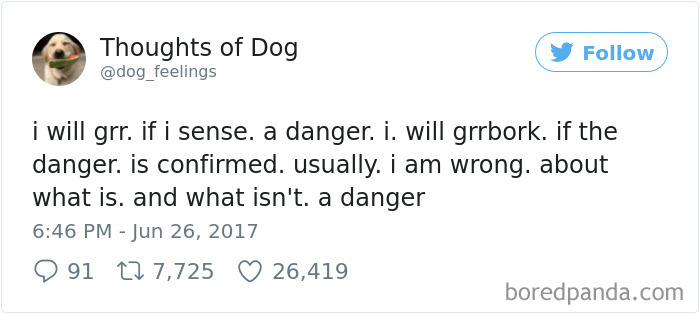 Dog Thoughts