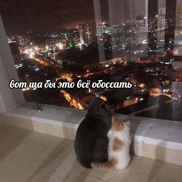 Подборка прикольных картинок  приколы,смешные картинки,юмор