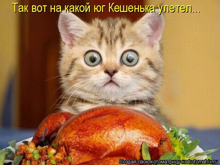Мысли вслух :)