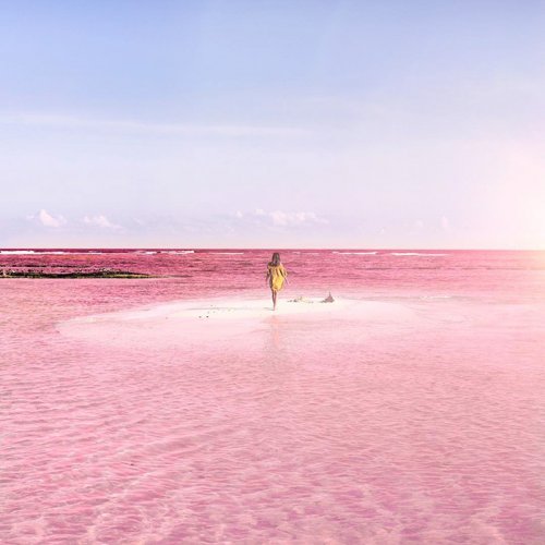 Розовая лагуна на полуострове Юкатан (10 фото)