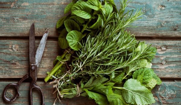 Травы для баланса чакр