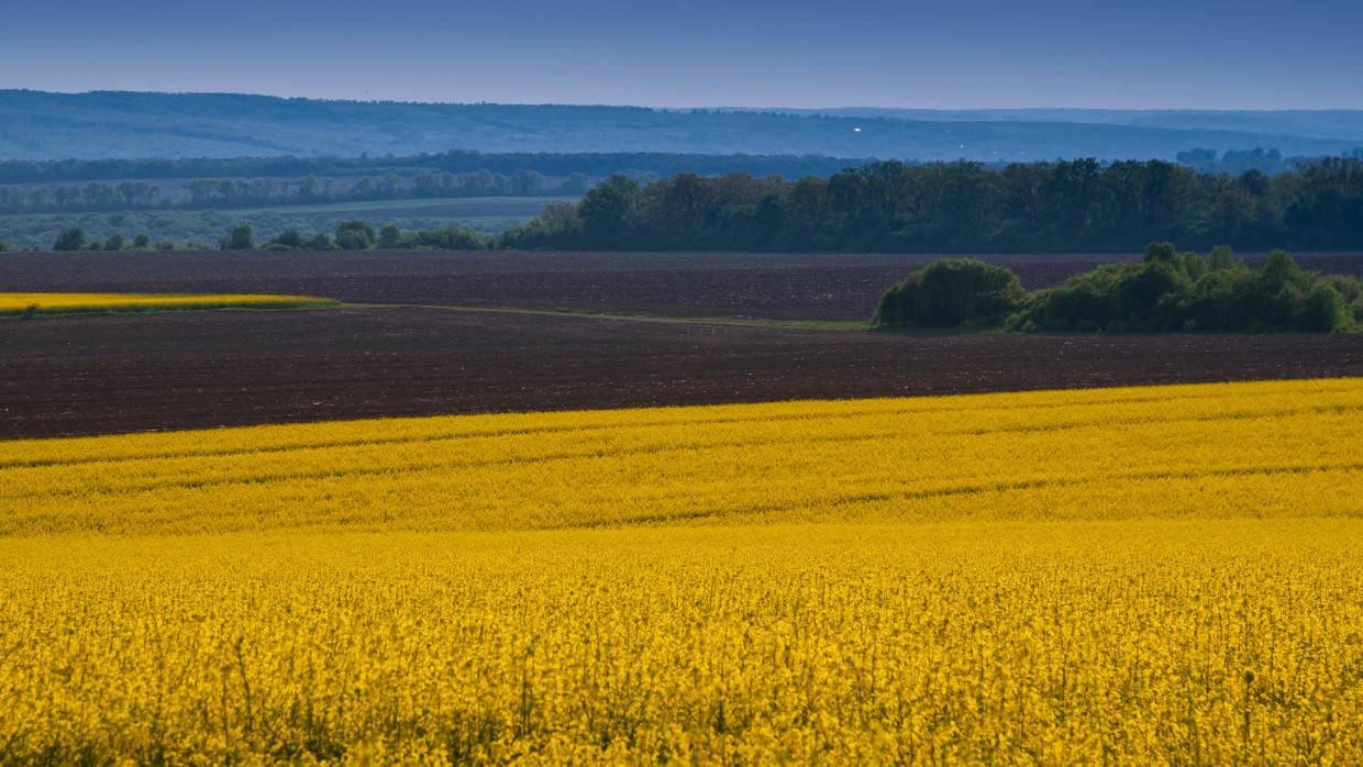 Правительство Украины захотело обеспечить едой миллиард человек