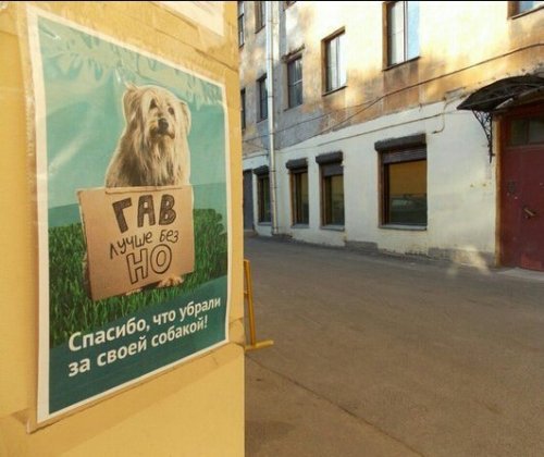Смешные вывески, объявления и реклама (31 фото)