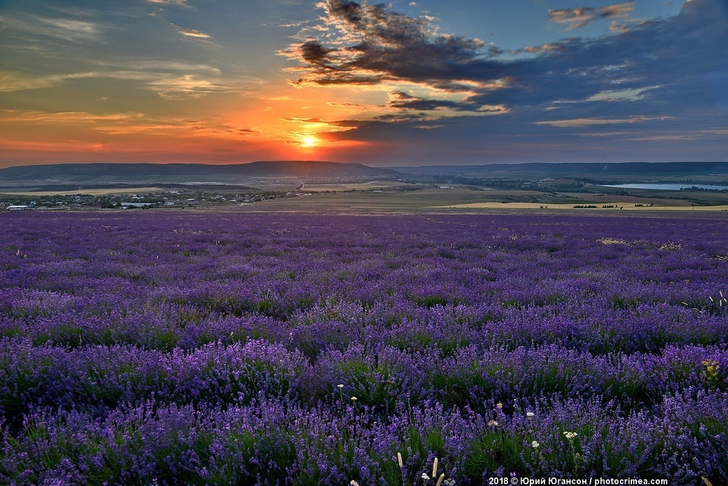 Классные фотографии и шикарные картинки для улыбки и позитива Классные фотографии и шикарные картинки для улыбки и позитива красивые фотографии,прикольные картинки,шикарные фотографии