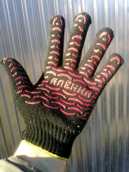 Свежие прикольные картинки Свежие прикольные картинки