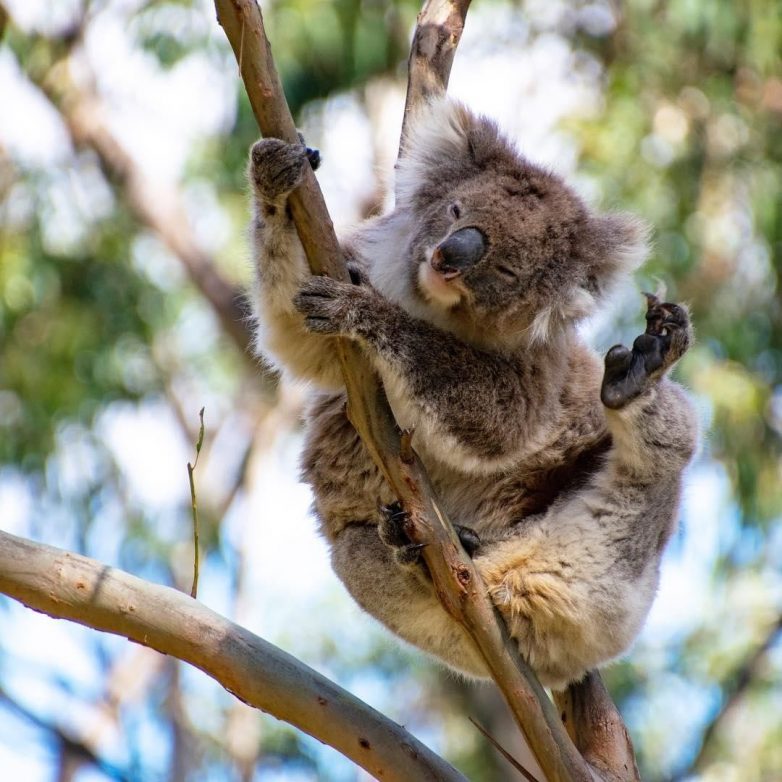 Другая планета? Нет, всего лишь Австралия Другая планета? Нет, всего лишь Австралия