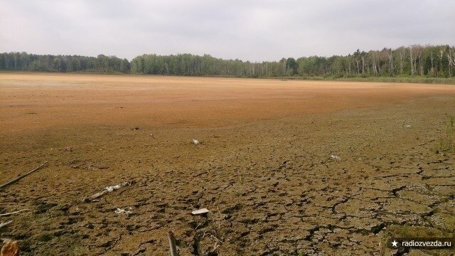 Петиция · Очистите Мазуринское озеро - зону экологической катастрофы · Change.org