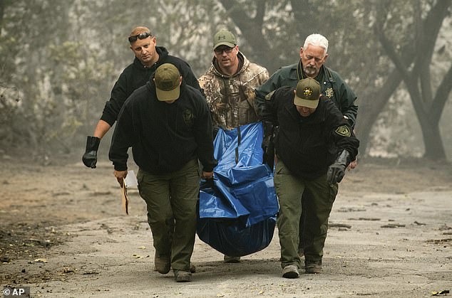 29 фото о том, во что превратилась Калифорния после адских пожаров 