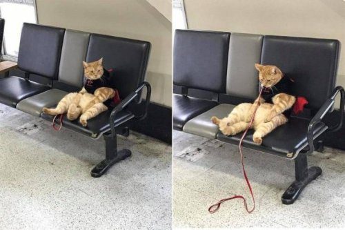 Фотоприколы и смешные картинки Фотоприколы и смешные картинки