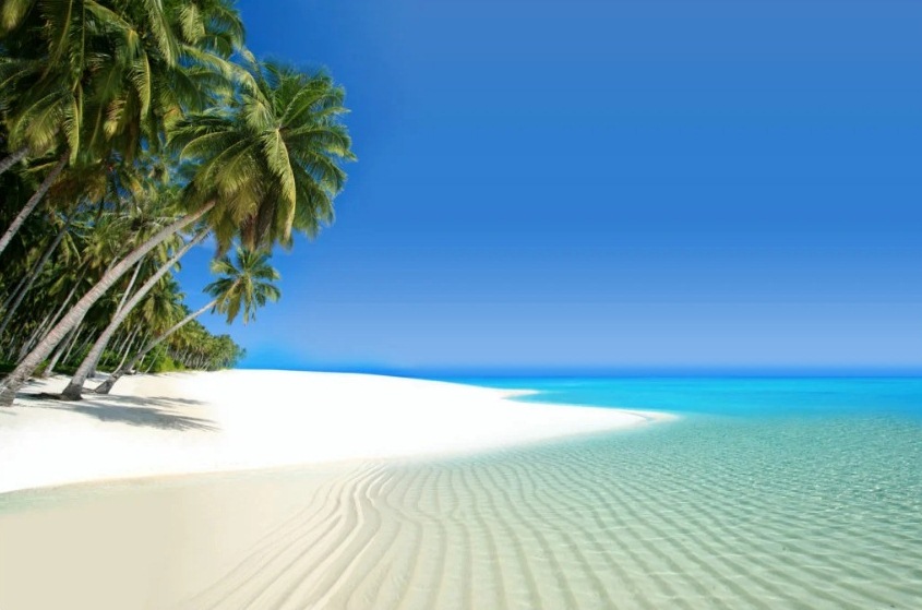 ДОМИНИКАНА ДОМИНИКАНА