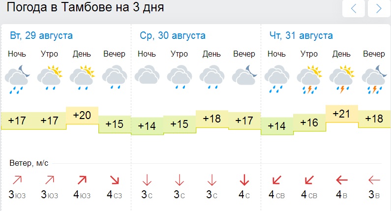 Погода тамбов сегодня по часам точный. Погода в Тамбовской области. Погода в Тамбове на неделю. Синоптик Тамбов.