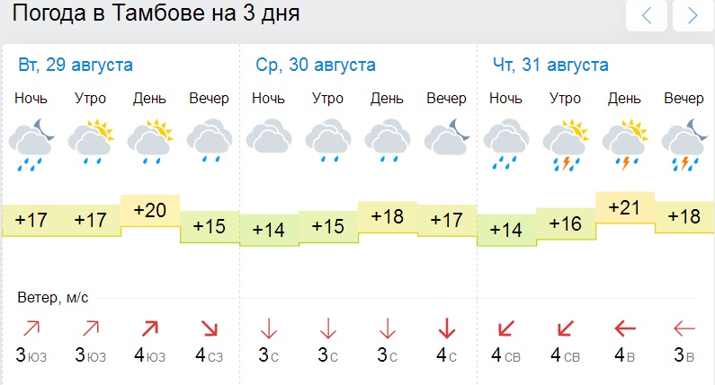 Прогноз погоды на 10 дней тамбовская