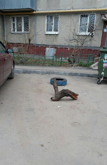 Княжеские уделы Княжеские уделы авто и мото,автоновости