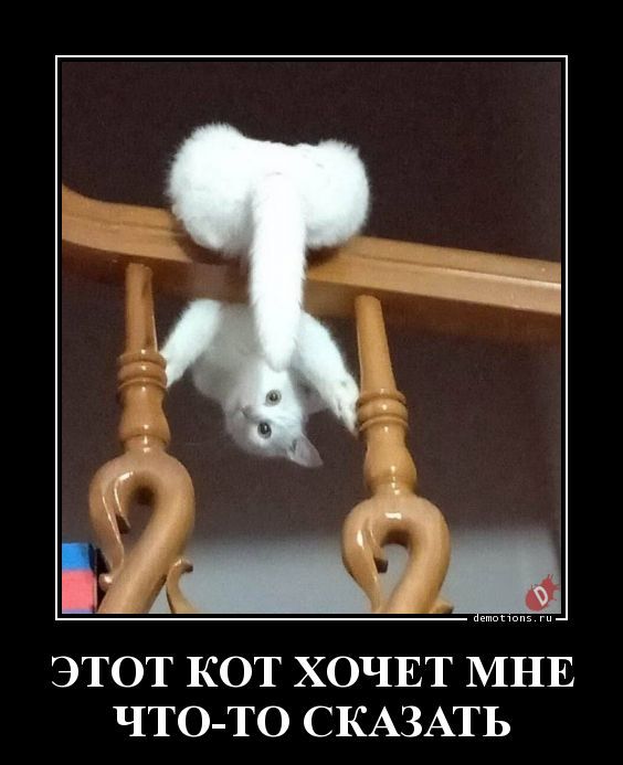 Утренние демотиваторы для поднятия настроения и позитивных эмоций Утренние демотиваторы для поднятия настроения и позитивных эмоций демотиваторы свежие,приколы,смешные демотиваторы,юмор