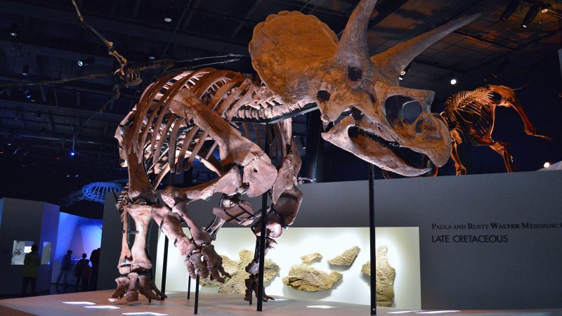 Британские ученые рассказали, почему нельзя воскресить динозавров