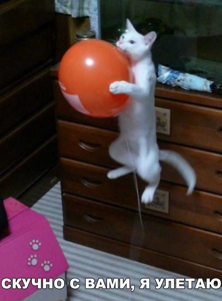 Давайте улыбаться вместе! :) 20170325