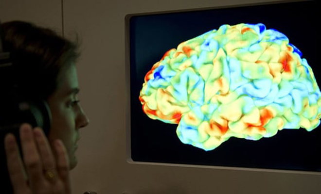 Ученые научились поддерживать жизнь мозга вне тела: эксперимент длился 5 часов 