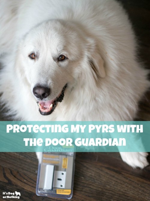 If you have Great Pyrenees, you know they are escape artists! If your dog is known for sneaking out your door, The Door Guardian is for you!