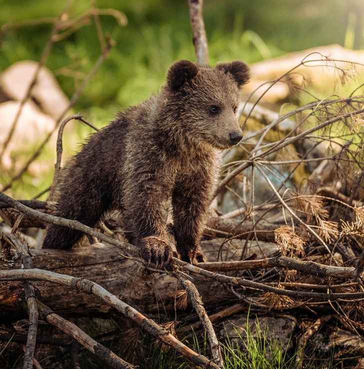 14 добрых историй, в которых столько тепла, что можно растопить весенние сугробы 