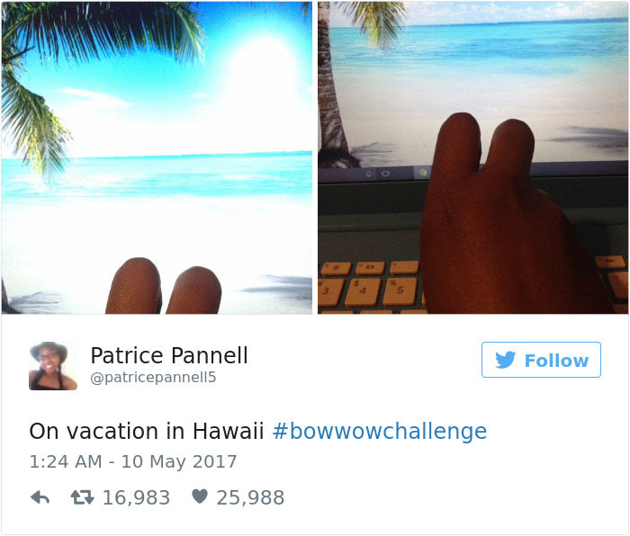 Bow Wow Challenge