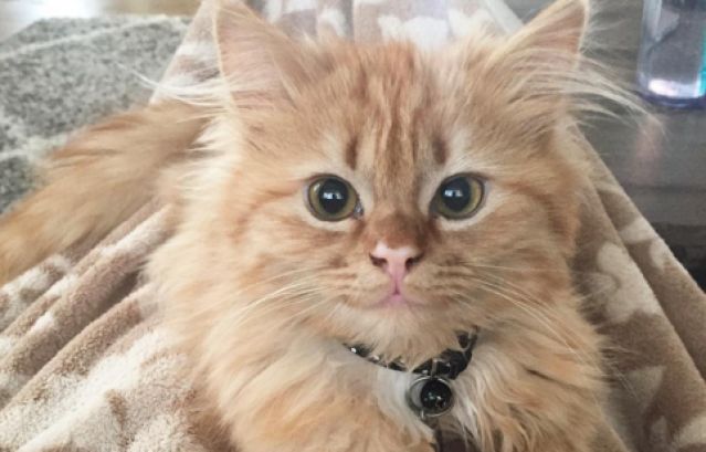 Почему часы упали