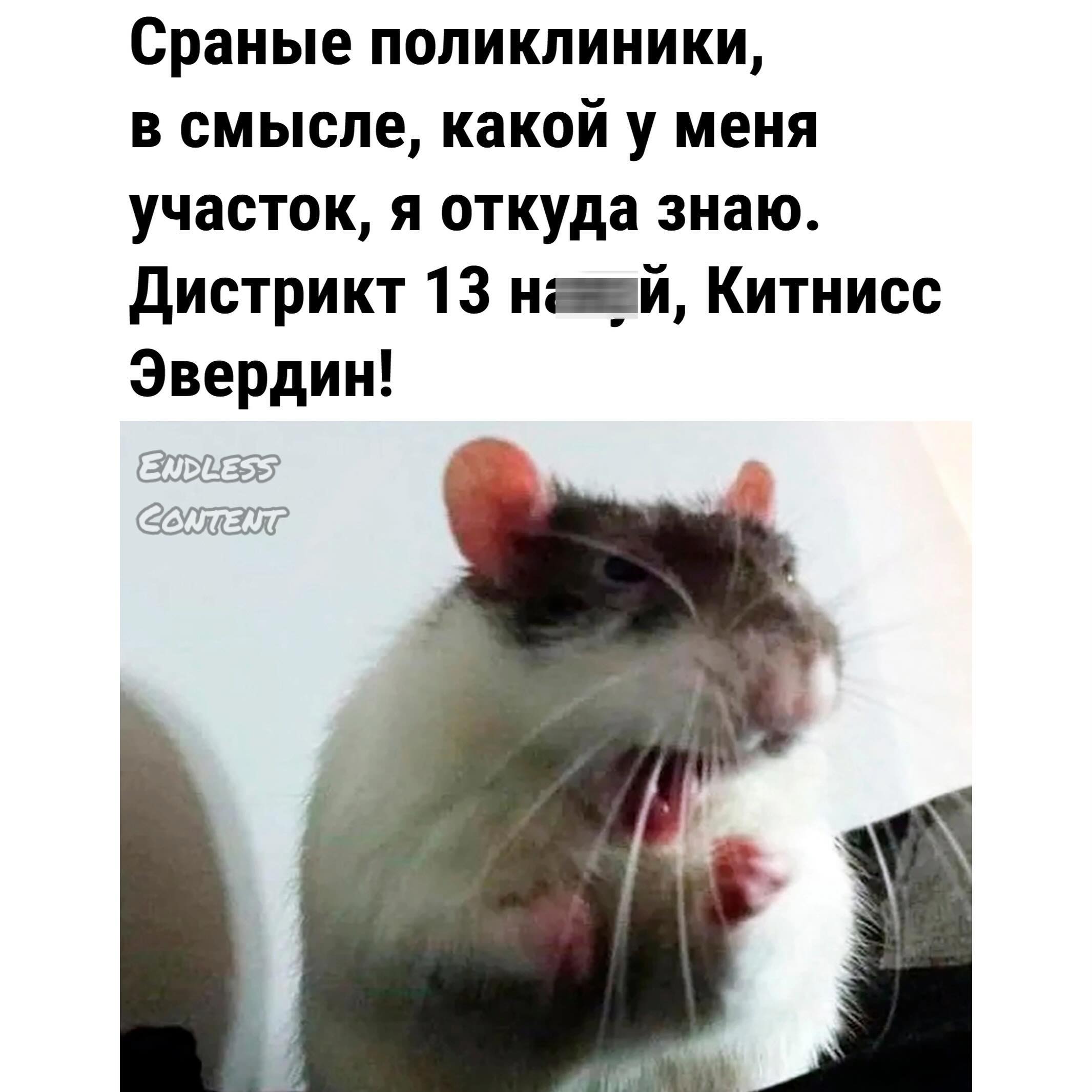 Весна, хочется влюбиться, но жена и теща против... Весна, хочется влюбиться, но жена и теща против... Скандинавские, лениным, новых, сапогах, юностью, облаках, небом, мешке, котом, майне, франкфуртом, разливе, незнайкой, палки, кухне, хозяйкой, должна, Женщина, палками, ходишь