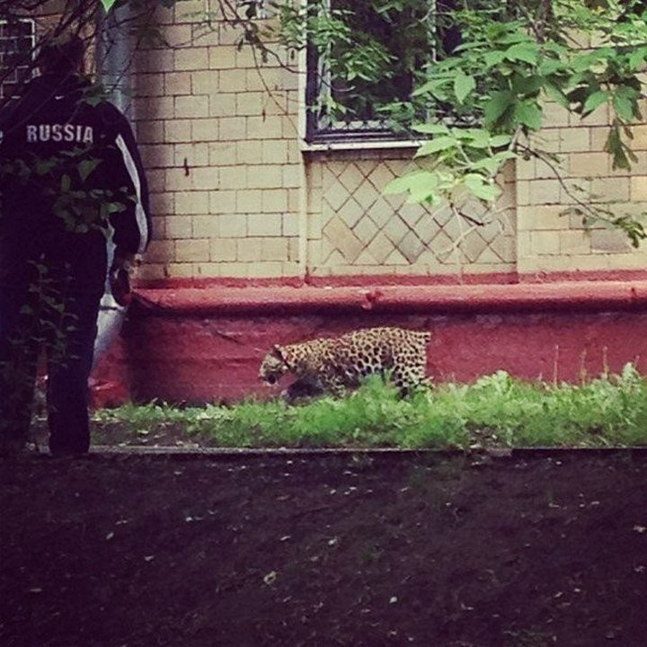  Неподражаемые картины русской жизни с ее национальными особенностями люди, прикол, россия, юмор