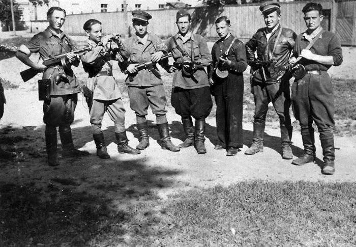 Партизанство или малая война Партизанство или малая война история