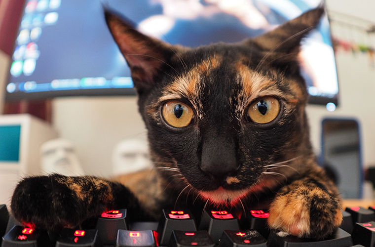 Шнобелевская премия: самые полезные изобретения Шнобелевская премия: самые полезные изобретения изобретения,интересное,наука,премия