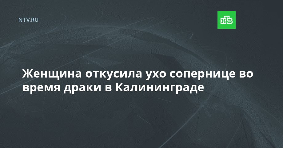 Звёзды мма знаменитости поп. Гитарные бои схемы. Бой соперниц. Бой соперниц. Фируза шарипова бокс.