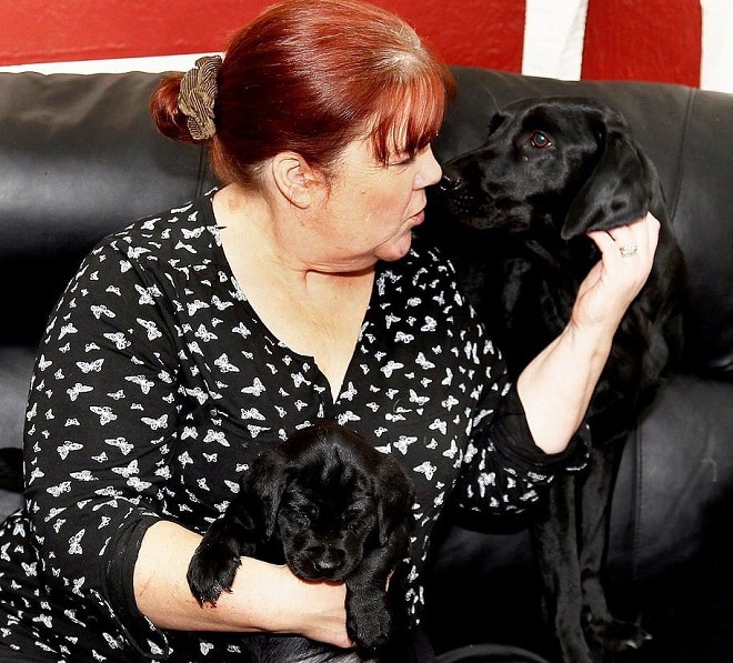 Хозяйка с питомцами