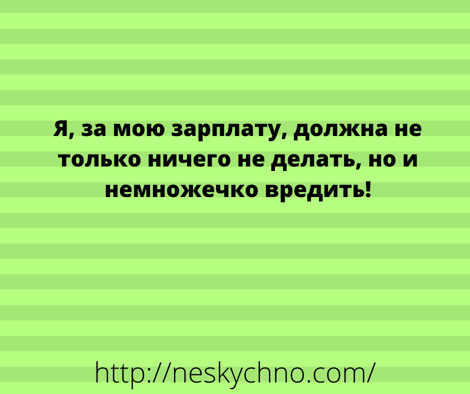 Несколько забавных историй для отличного настроения 