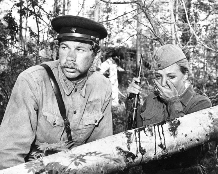 факты, фильм, А зори здесь тихие