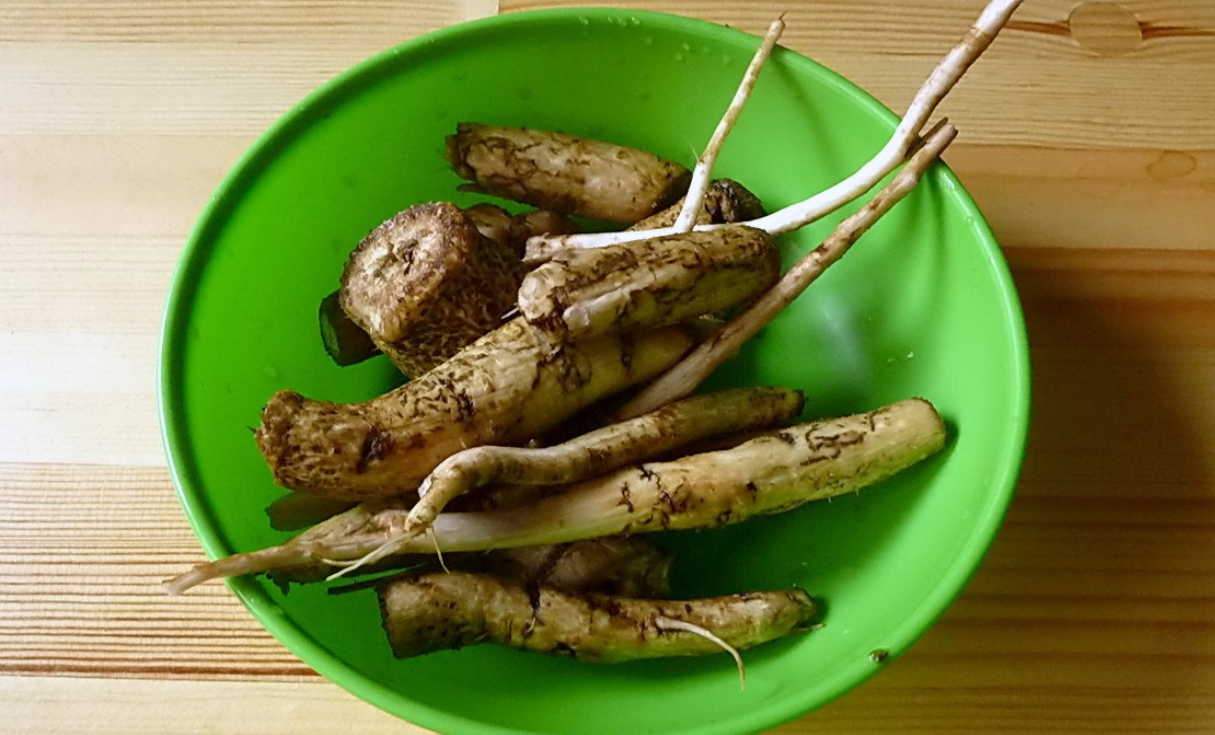 ÐÐ¾ÑÐµÐ½Ñ Ð»Ð¾Ð¿ÑÑÐ° Ð² Ð¼Ð°Ðµ - Ð±ÐµÑÑÐµÐ½Ð½Ð¾Ðµ Ð»ÐµÐºÐ°ÑÑÑÐ²Ð¾. ÐÐ°Ð³Ð¾ÑÐ°Ð²Ð»Ð¸Ð²Ð°ÐµÐ¼ ÐºÐ¾ÑÐµÐ½Ñ Ð¿ÑÐ°Ð²Ð¸Ð»ÑÐ½Ð¾ Ð¸ Ð»ÐµÑÐ¸Ð¼ÑÑ Ð²ÑÑ Ð·Ð¸Ð¼Ñ!