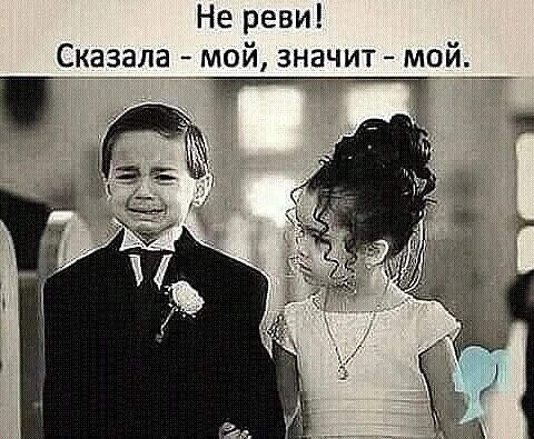 В мужском представлении, счастливая и крепкая семья - это когда жена жалуется мужу на мать, а не матери на мужа... 