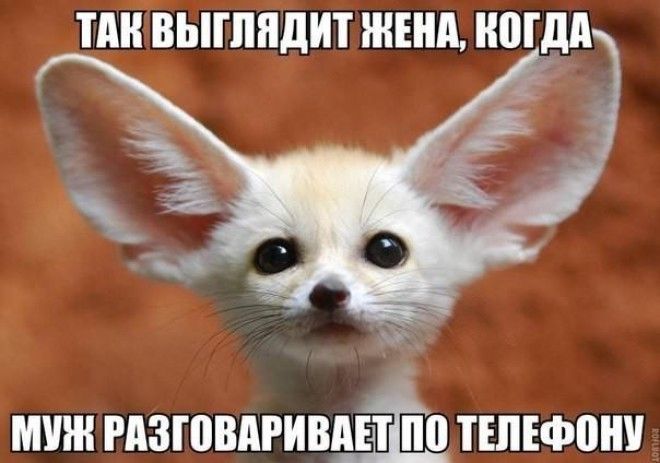 Позитивные картинки и веселые фотографии с надписью Позитивные картинки и веселые фотографии с надписью