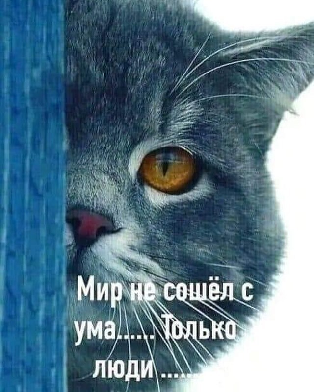 Весна, хочется влюбиться, но жена и теща против... Весна, хочется влюбиться, но жена и теща против... Скандинавские, лениным, новых, сапогах, юностью, облаках, небом, мешке, котом, майне, франкфуртом, разливе, незнайкой, палки, кухне, хозяйкой, должна, Женщина, палками, ходишь