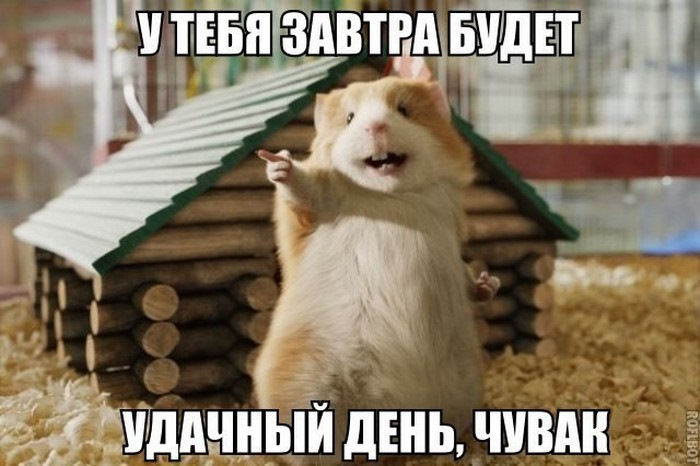 удачный день картинки онлайн удачный день картинки