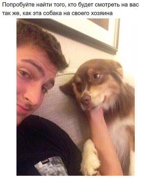 Позитивные картинки и фотографии Позитивные картинки и фотографии