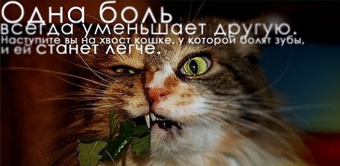 цитаты со смыслом и картинки с цитатами цитаты со смыслом и цитаты в картинках 77