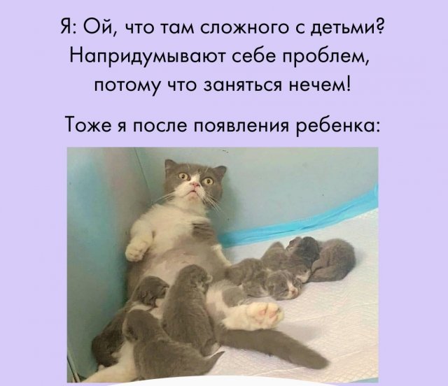 Шутки и мемы от родителей