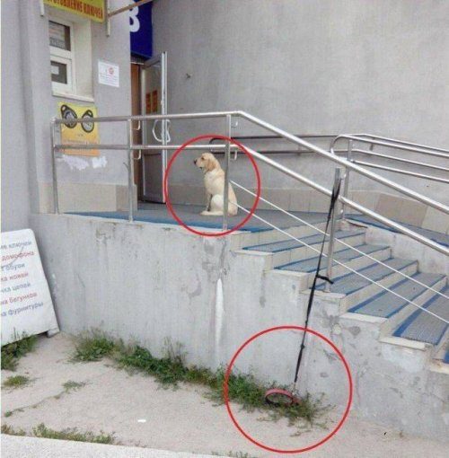 Прикольные картинки и комментарии Прикольные картинки и комментарии