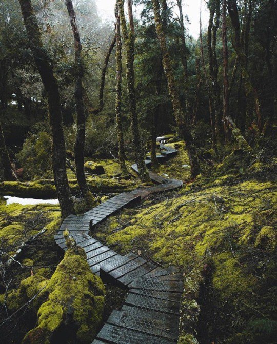 Классные фотографии и шикарные картинки из нашей жизни смешные картинки,угарные фотки,фото приколы