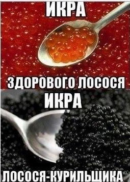 От восстания машин нас спасут тётки из бухгалтерии. Вылезаешь из укрытия, видишь сломанный Скайнет, и тётя Алевтина: 