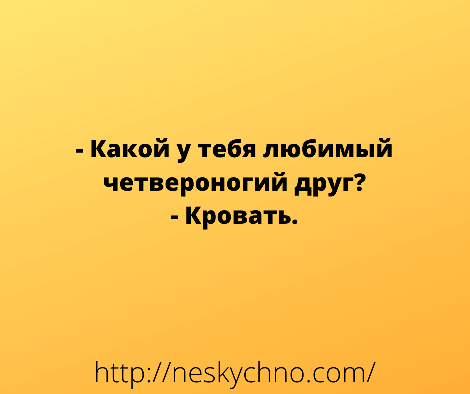 Несколько забавных историй для отличного настроения 