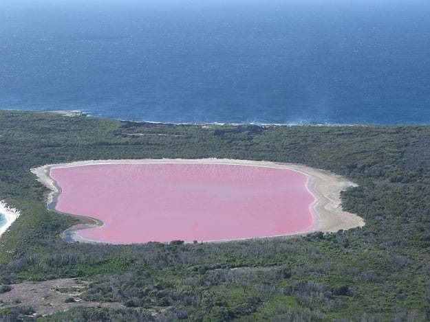 In Western Australia, Lake Hillier looks like it