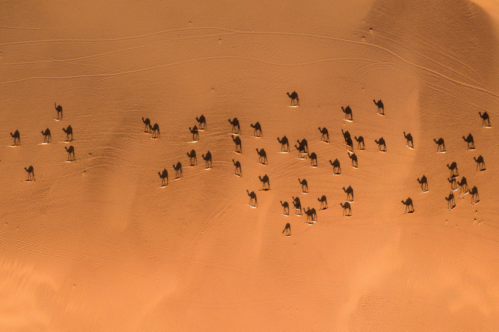 Победители конкурса аэрофотографии Drone Awards 2019