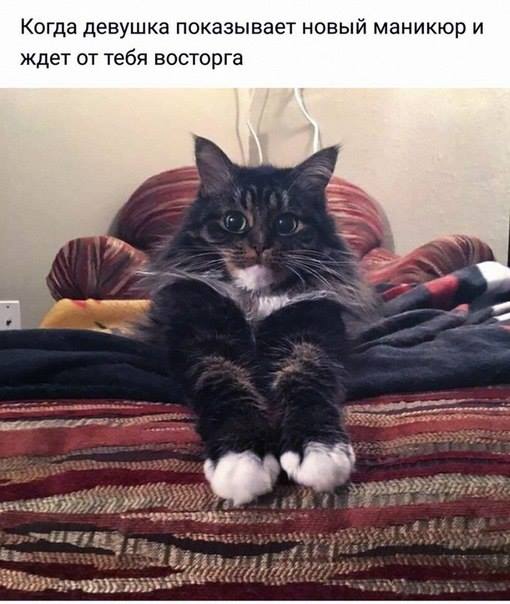 15+ коротких историй прямиком из жизни, которые зарядят вас позитивом на весь день 15+ коротких историй прямиком из жизни, которые зарядят вас позитивом на весь день