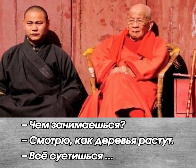 Купил умный утюг. Полдня рассуждали с ним о смысле жизни Купил умный утюг. Полдня рассуждали с ним о смысле жизни Купил, история , будем, сервисов, российских, других, многих, белого, Красного, Правда, меня , успокоительный, прям , напоследок , делать, бесит, сбора, этого, запах, пачку